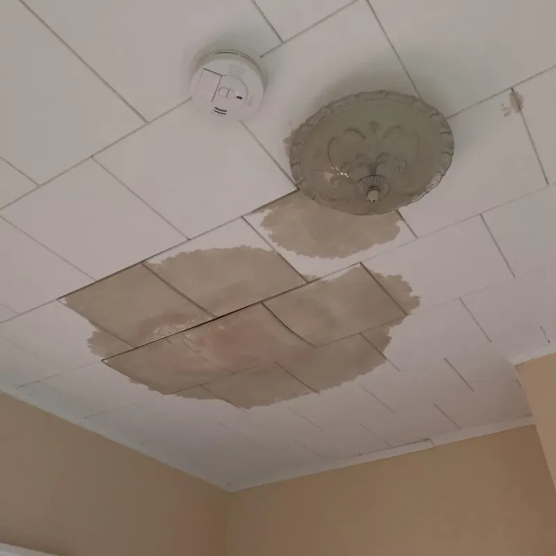 Ceiling Water Damage Repair in Eastport, ME