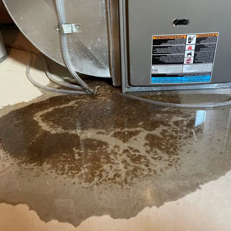 Pipe Burst and Leak Restoration in Eastport, ME